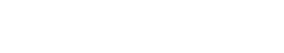 Castelli logo