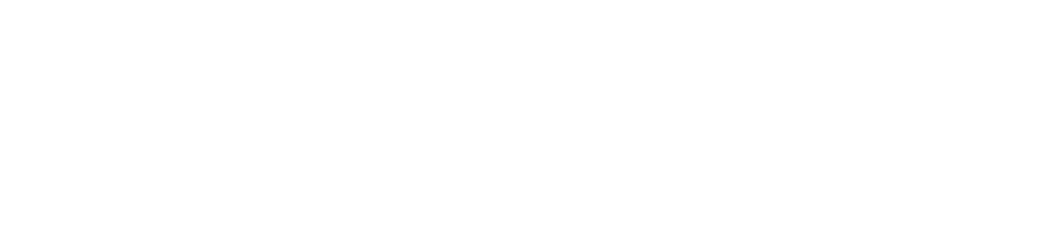 Chizld logo