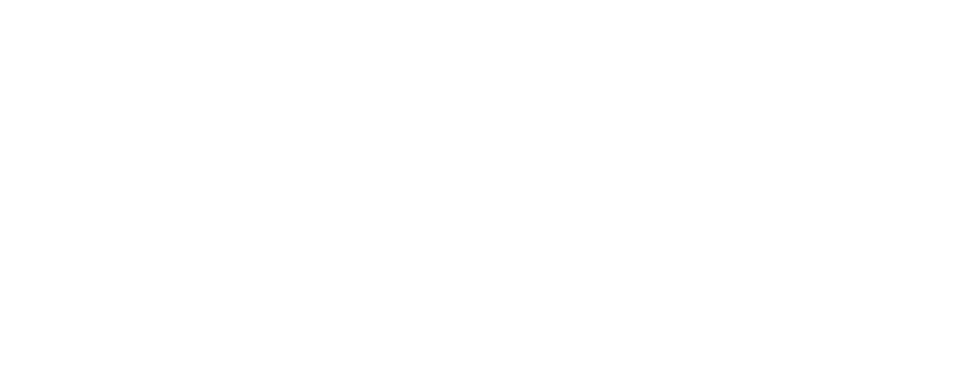 UFC logo